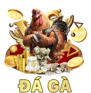 Hoàn trả hàng ngày